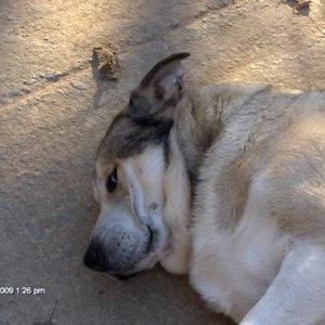 Meet your Posher, Zachery